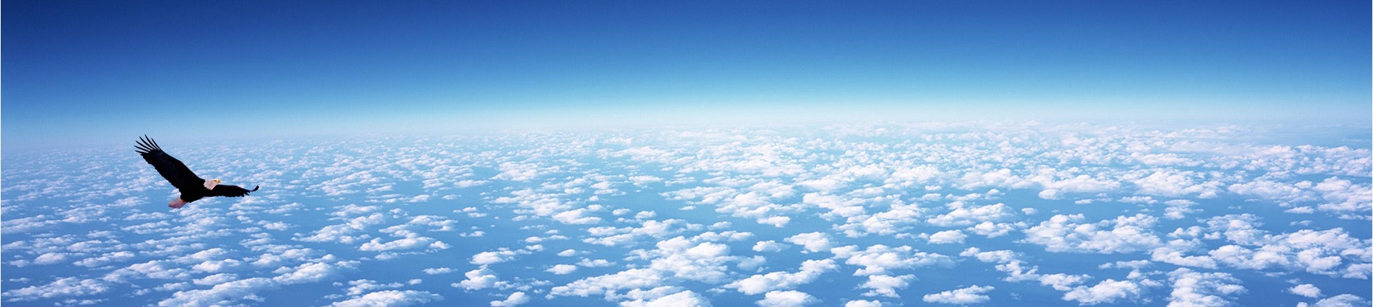 在線留言-電磁離合器_牙嵌式電磁離合器_多片式電磁離合器_電磁離合器廠家-天津「焱坤離合器」生產(chǎn)廠家-天津焱坤離合器有限公司